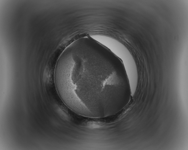 X0000085770408200703301408