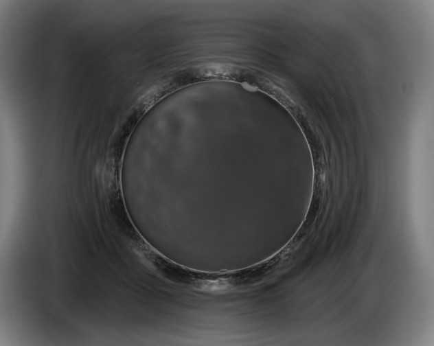 X0000085770411200703301408