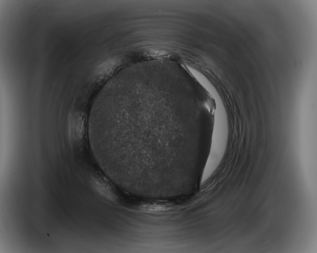 X0000085770412200703301407