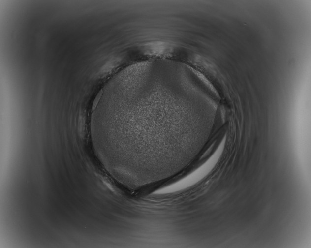 X0000085770416200703301407