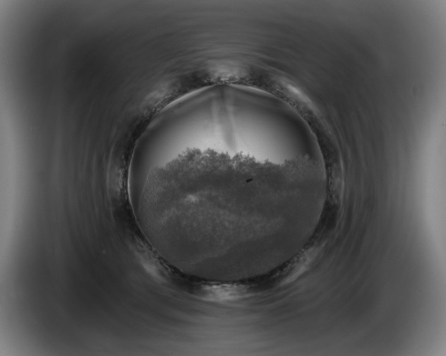 X0000085770417200703301407