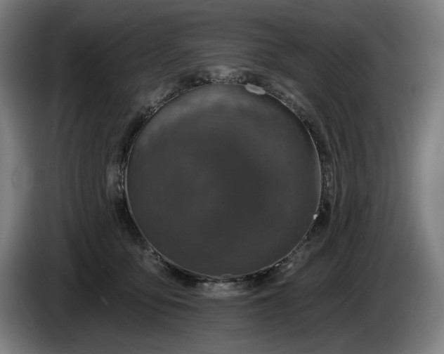 X0000085770419200703301407