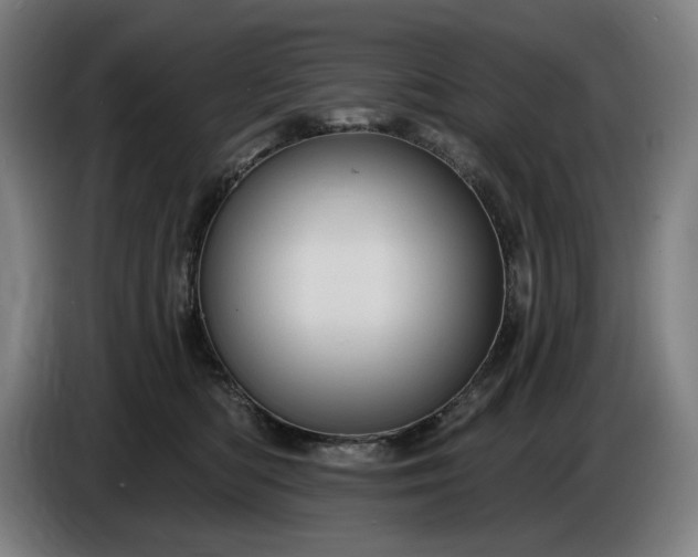 X0000085770422200703301407