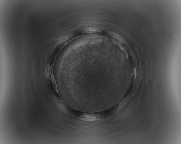 X0000085770423200703301407