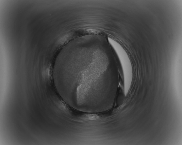 X0000085770424200703301407