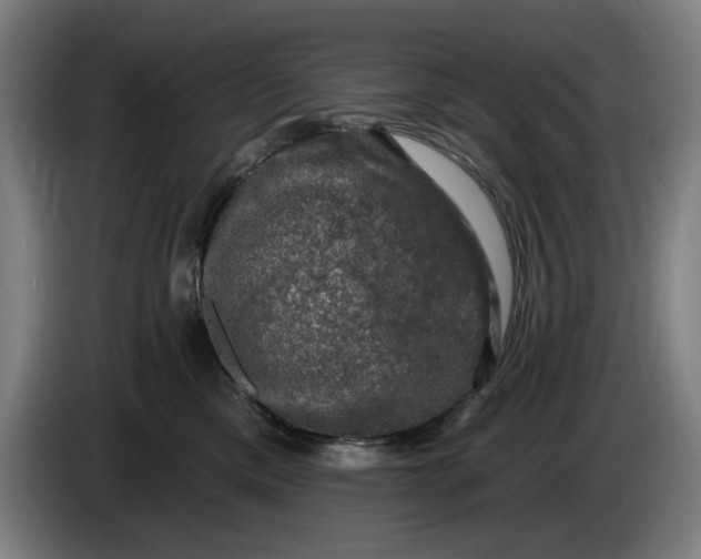 X0000085770425200703301407