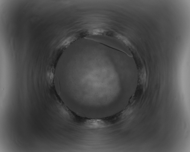 X0000085770427200703301407