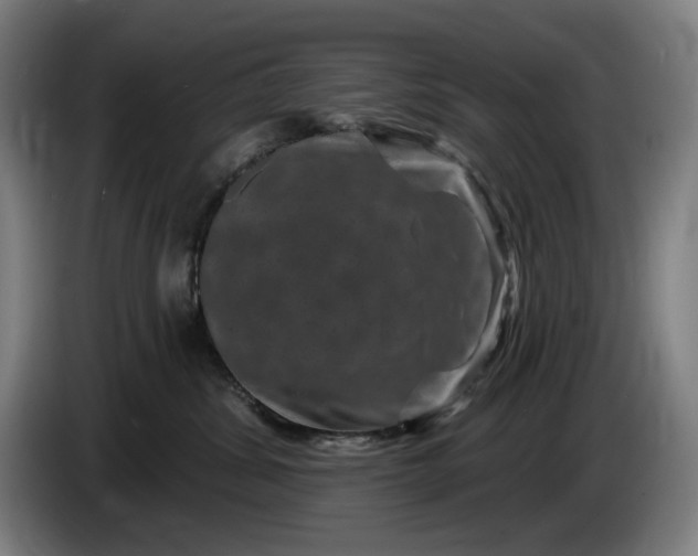 X0000085770428200703301407