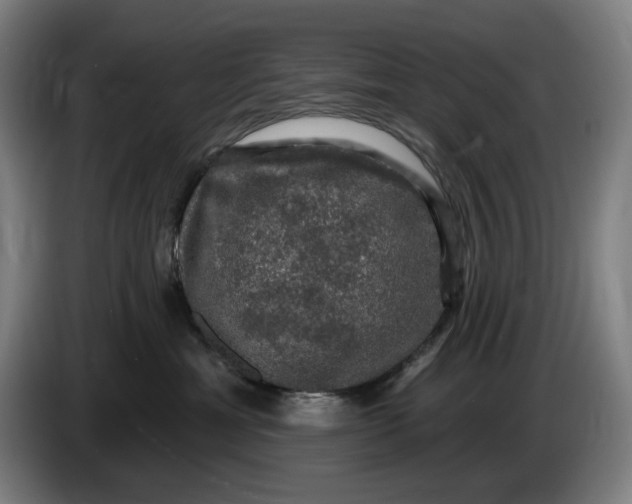 X0000085770429200703301407