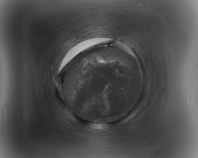 X0000085770432200703301407