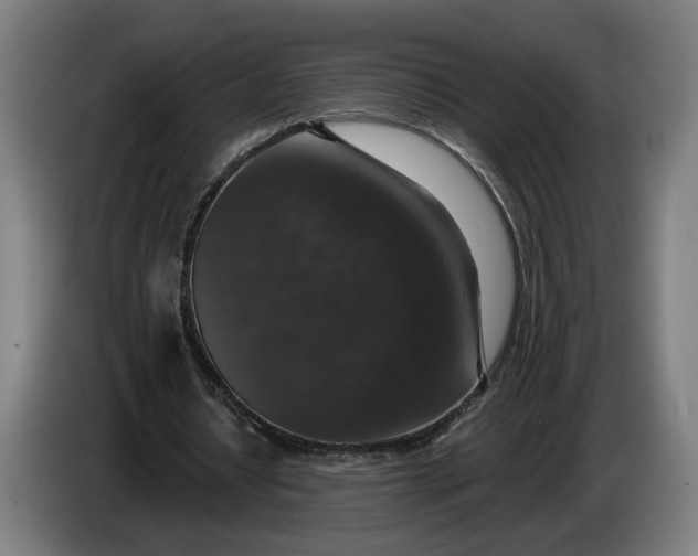 X0000085770434200703301407