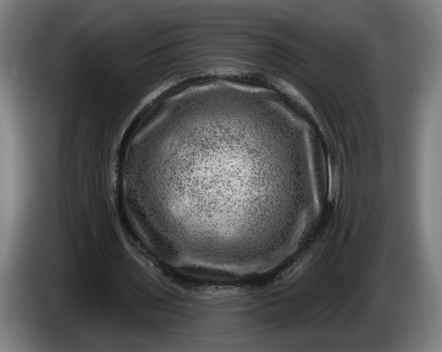 X0000085770435200703301407