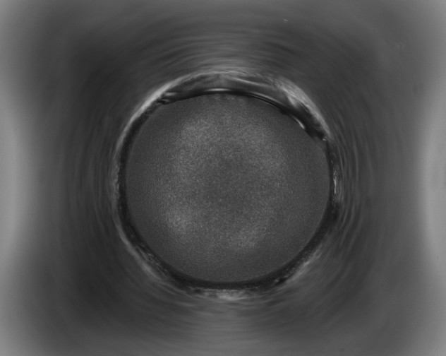 X0000085770436200703301407