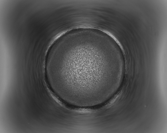 X0000085770437200703301407