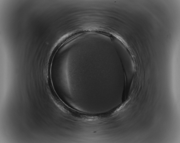 X0000085770438200703301407