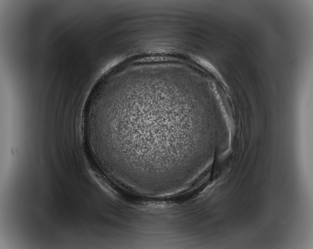 X0000085770439200703301407