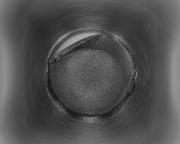 X0000085770440200703301407