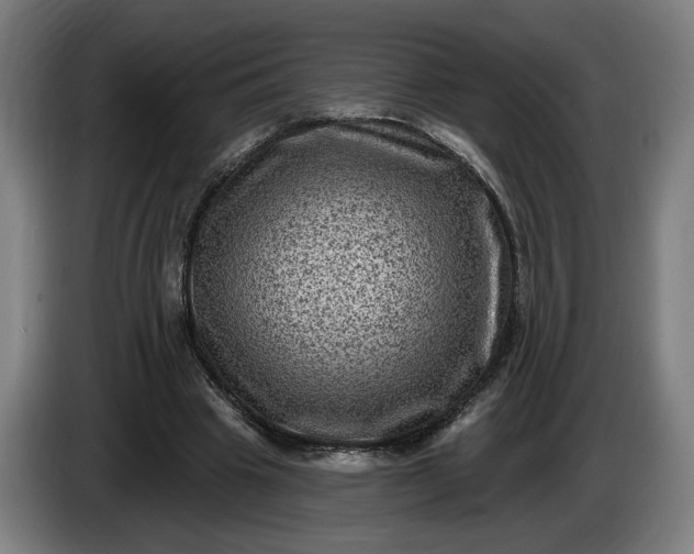 X0000085770441200703301407