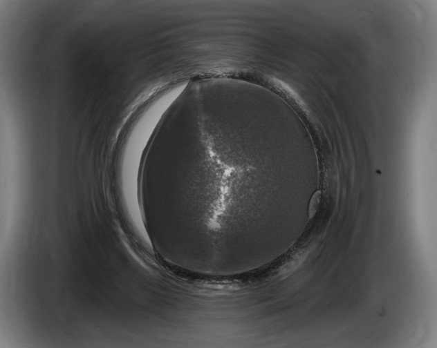 X0000085770443200703301407