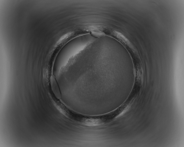 X0000085770444200703301407