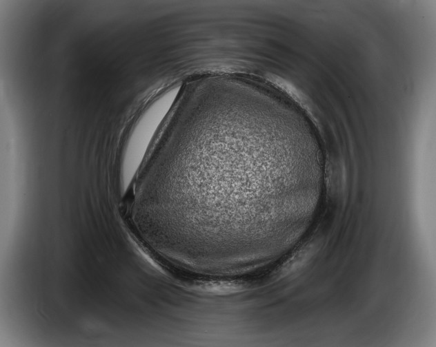 X0000085770445200703301407