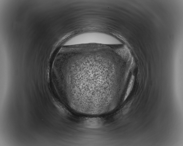 X0000085770446200703301407