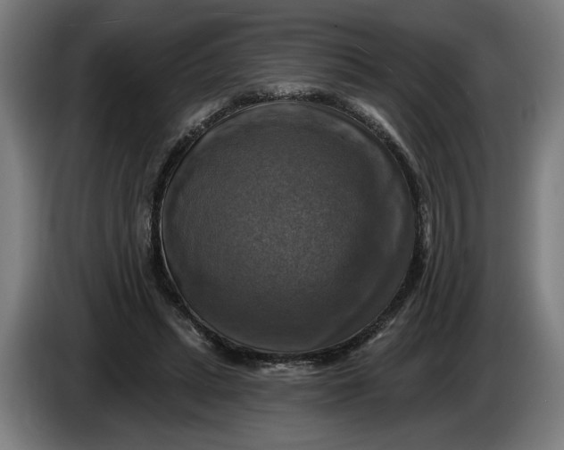 X0000085770447200703301407