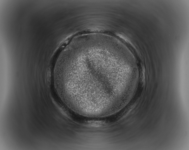 X0000085770448200703301407