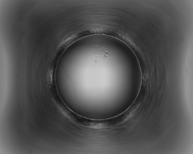 X0000085770454200703301407