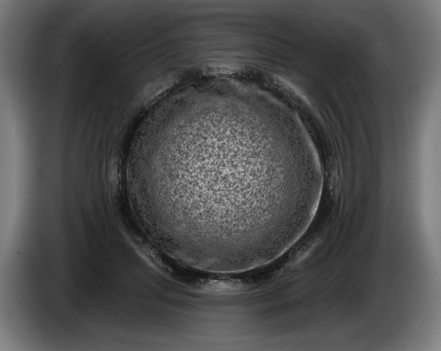 X0000085770455200703301407