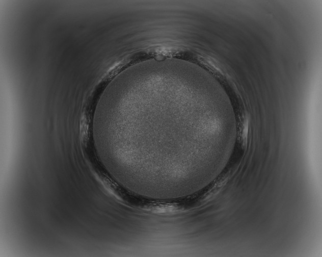 X0000085770456200703301407