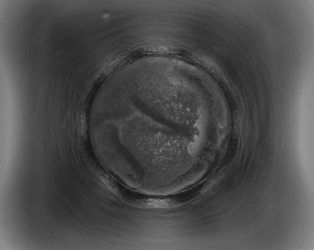 X0000085770457200703301407