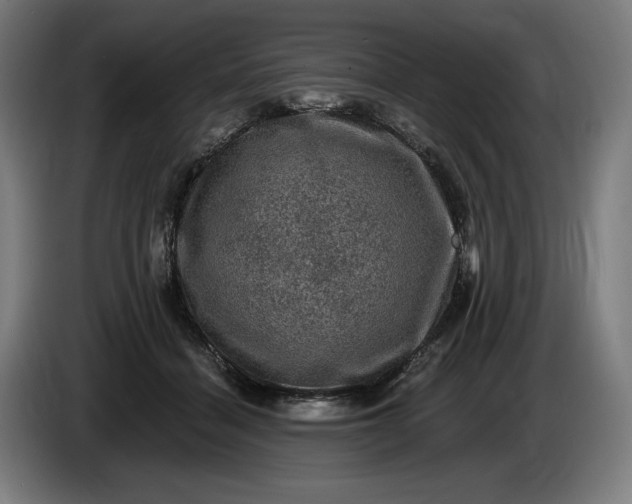 X0000085770460200703301407