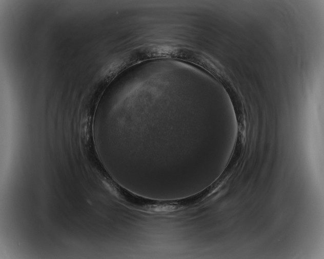 X0000085770462200703301407