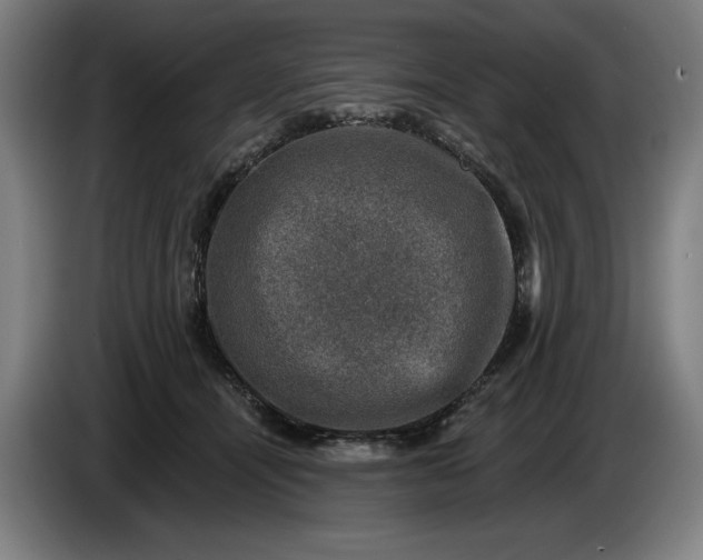 X0000085770464200703301407