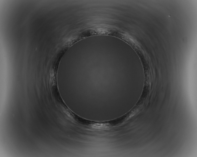 X0000085770465200703301407