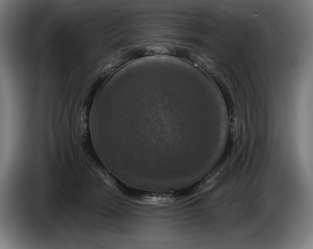 X0000085770466200703301407