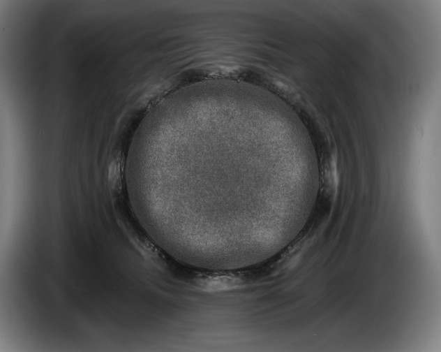 X0000085770468200703301407