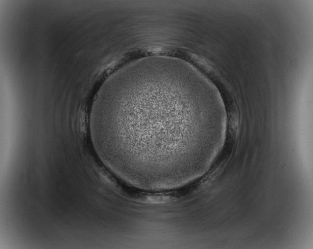 X0000085770470200703301407