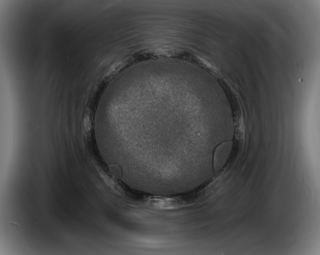 X0000085770472200703301407