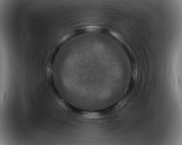 X0000085770476200703301407