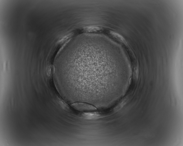 X0000085770477200703301407