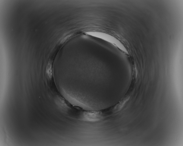 X0000085770479200703301407