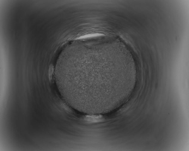 X0000085770480200703301407