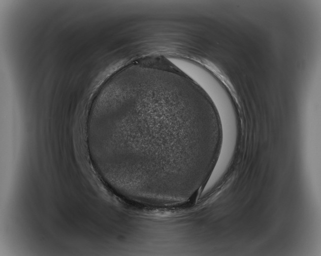 X0000085770481200703301407