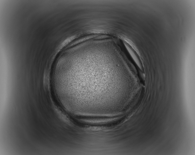 X0000085770482200703301407