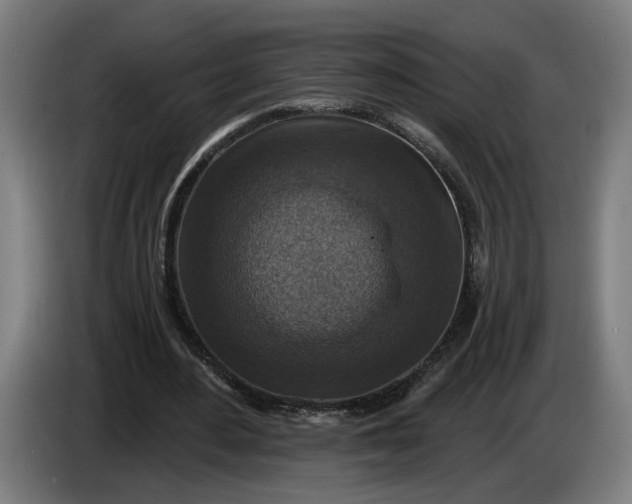 X0000085770484200703301406