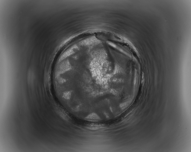 X0000085770487200703301406