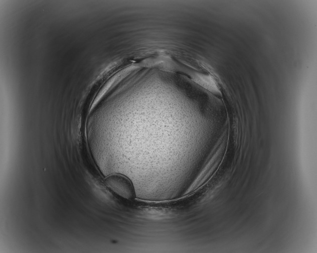 X0000085770490200703301406