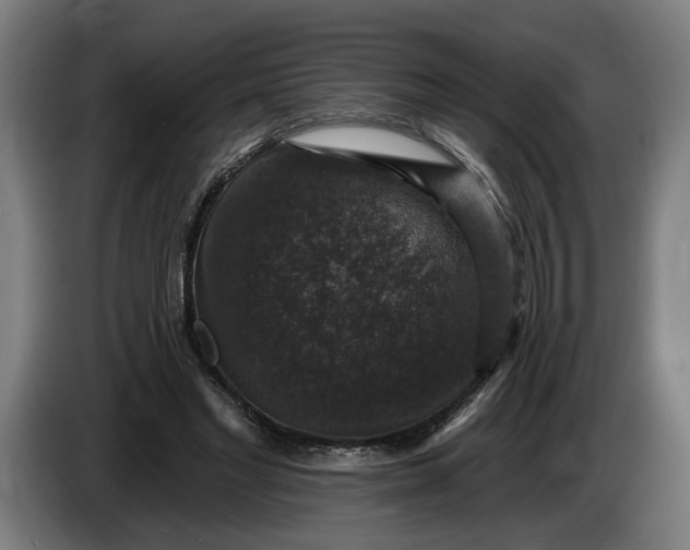 X0000085770493200703301406